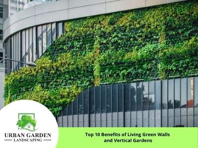 46. The Benefits of Green Fences: Living Walls and Vertical Gardens