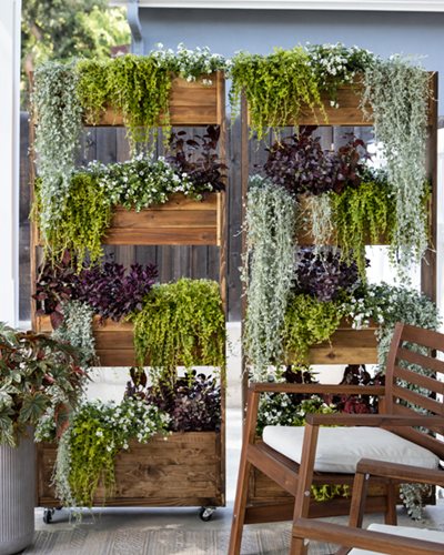 46. The Benefits of Green Fences: Living Walls and Vertical Gardens