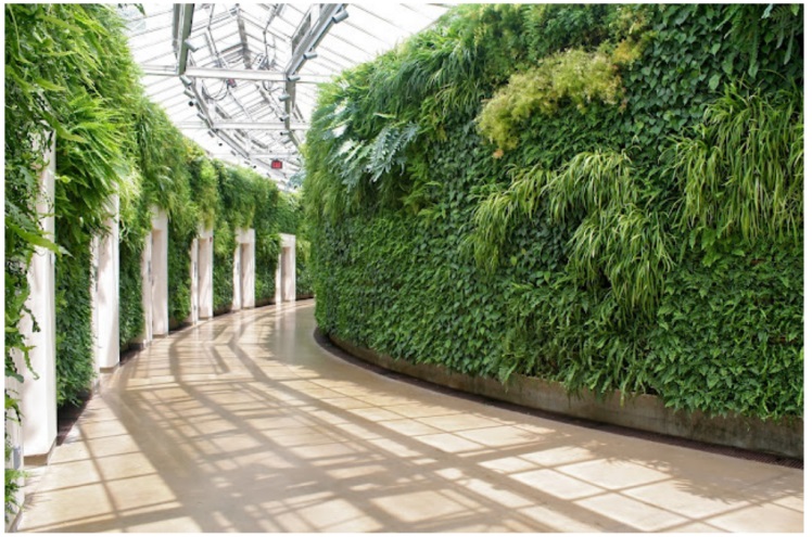 46. The Benefits of Green Fences: Living Walls and Vertical Gardens