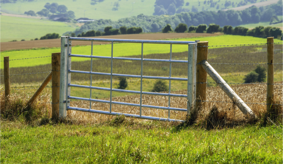47. Fences for Farms: Ensuring Livestock Security