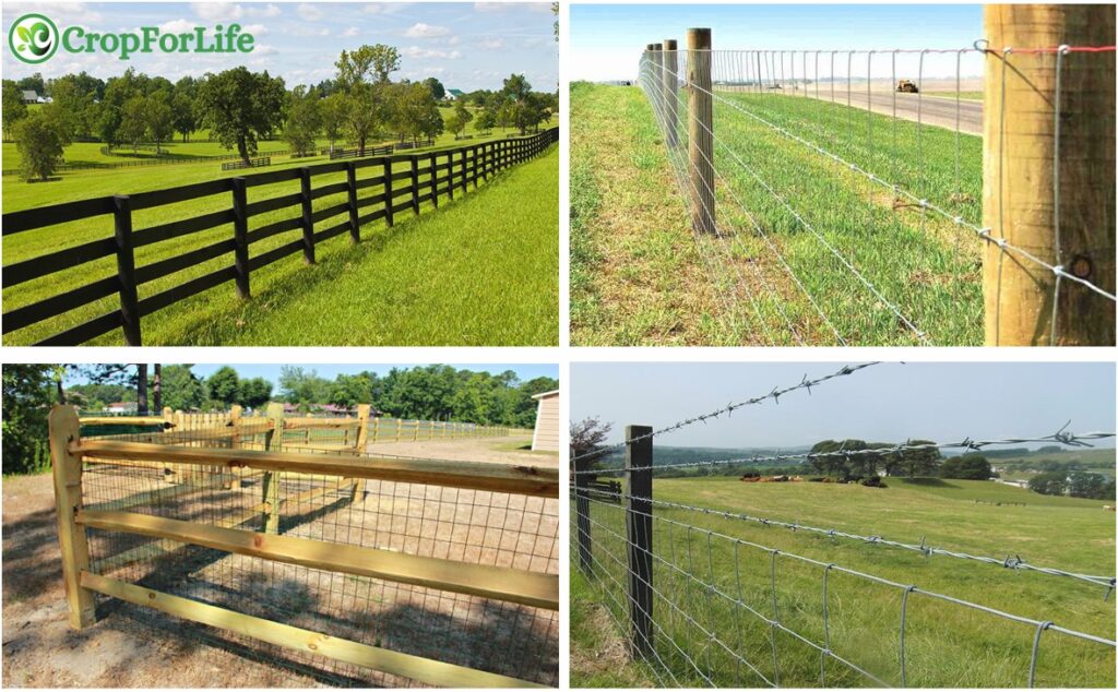 47. Fences for Farms: Ensuring Livestock Security