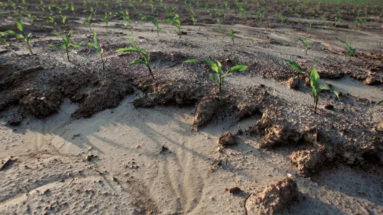 57. The Role of Fences in Preventing Soil Erosion