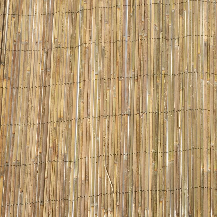 80. The Pros and Cons of Bamboo Fences