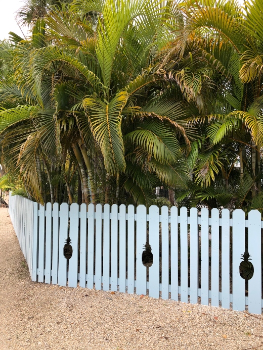 113. Exploring Fence Options for Coastal Properties