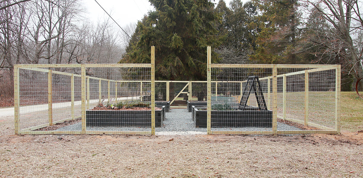 120. The Role of Fences in Enclosing Vegetable Gardens