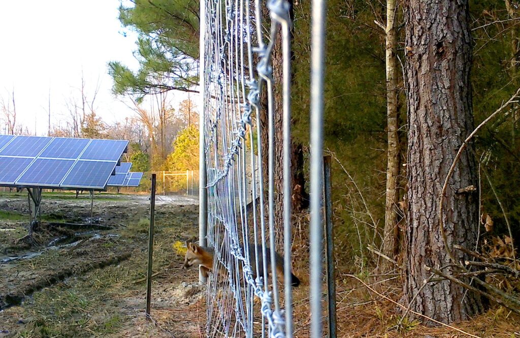 124. The Impact of Fences on Solar Panel Installations