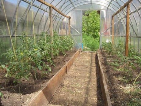91. Exploring Fence Options for Greenhouse Enclosures