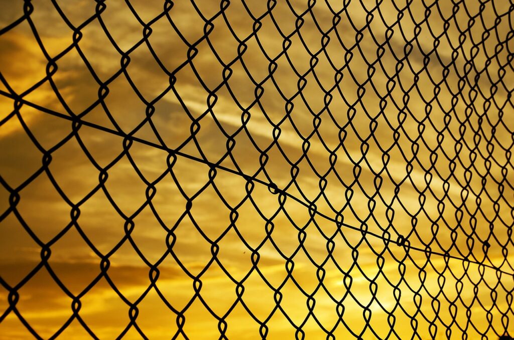 Best Privacy Screen For Chain Link Fence